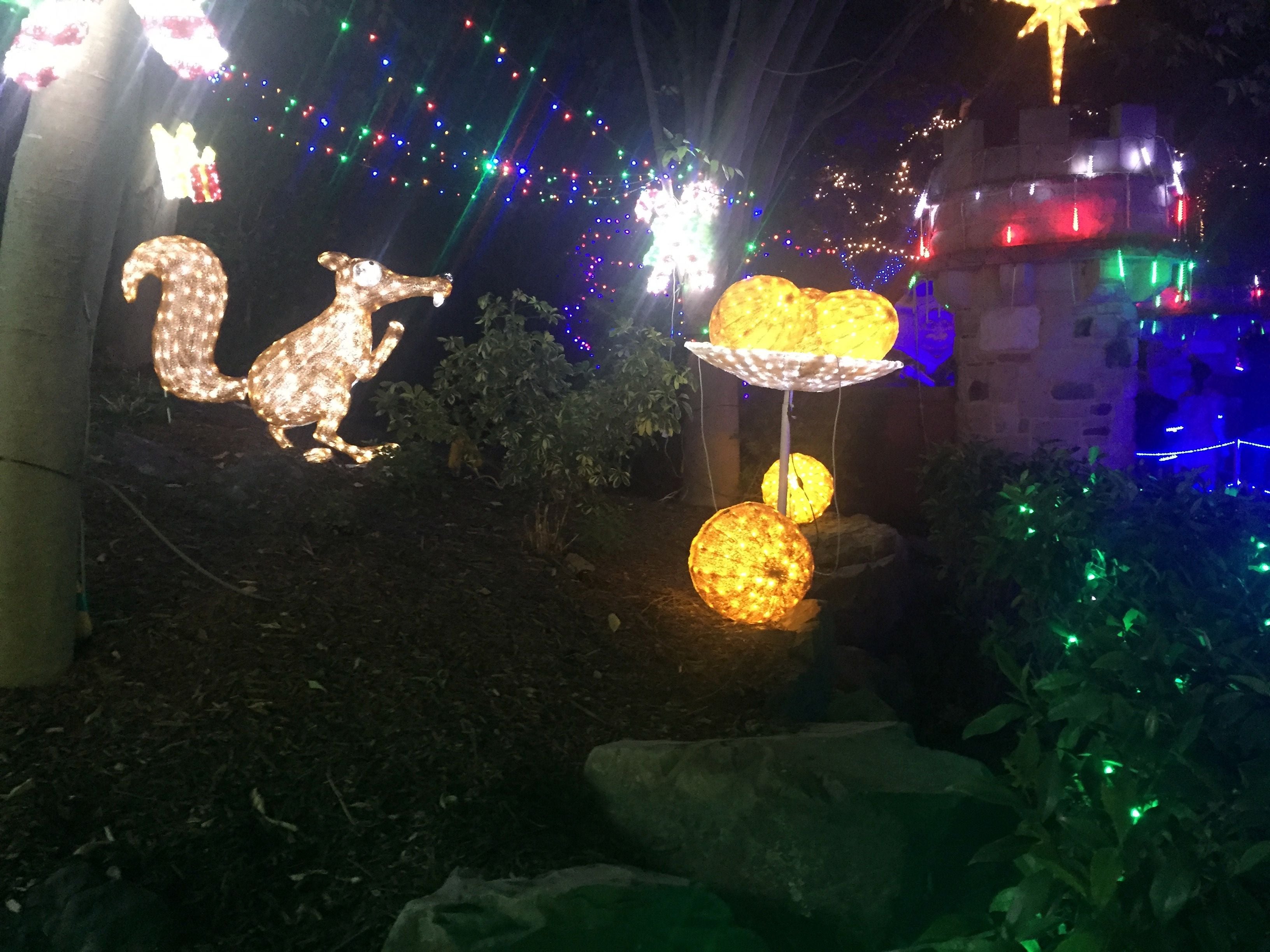 Hunter Valley Christmas Lights Spectacular Image -5b3abbc5a4a43